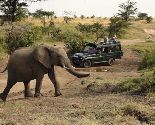 6 Mara Houses Game Drive