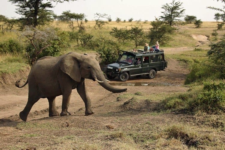 6 Mara Houses Game Drive