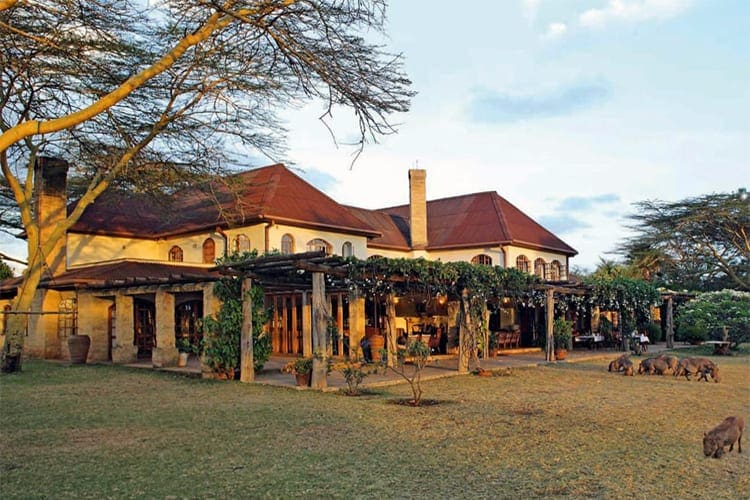 Casa ya Ndoto - Gardens and Warthogs