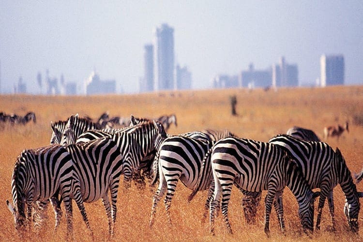 Nairobi Kenya