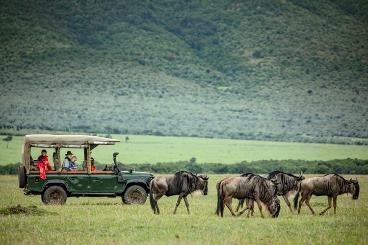 Game Viewing