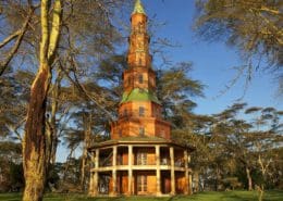 Dodo's Tower