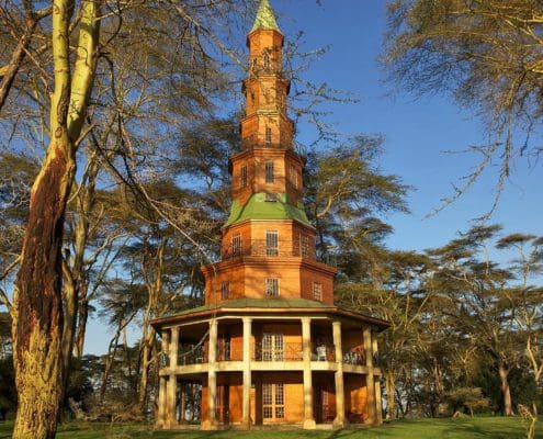 Dodo's Tower