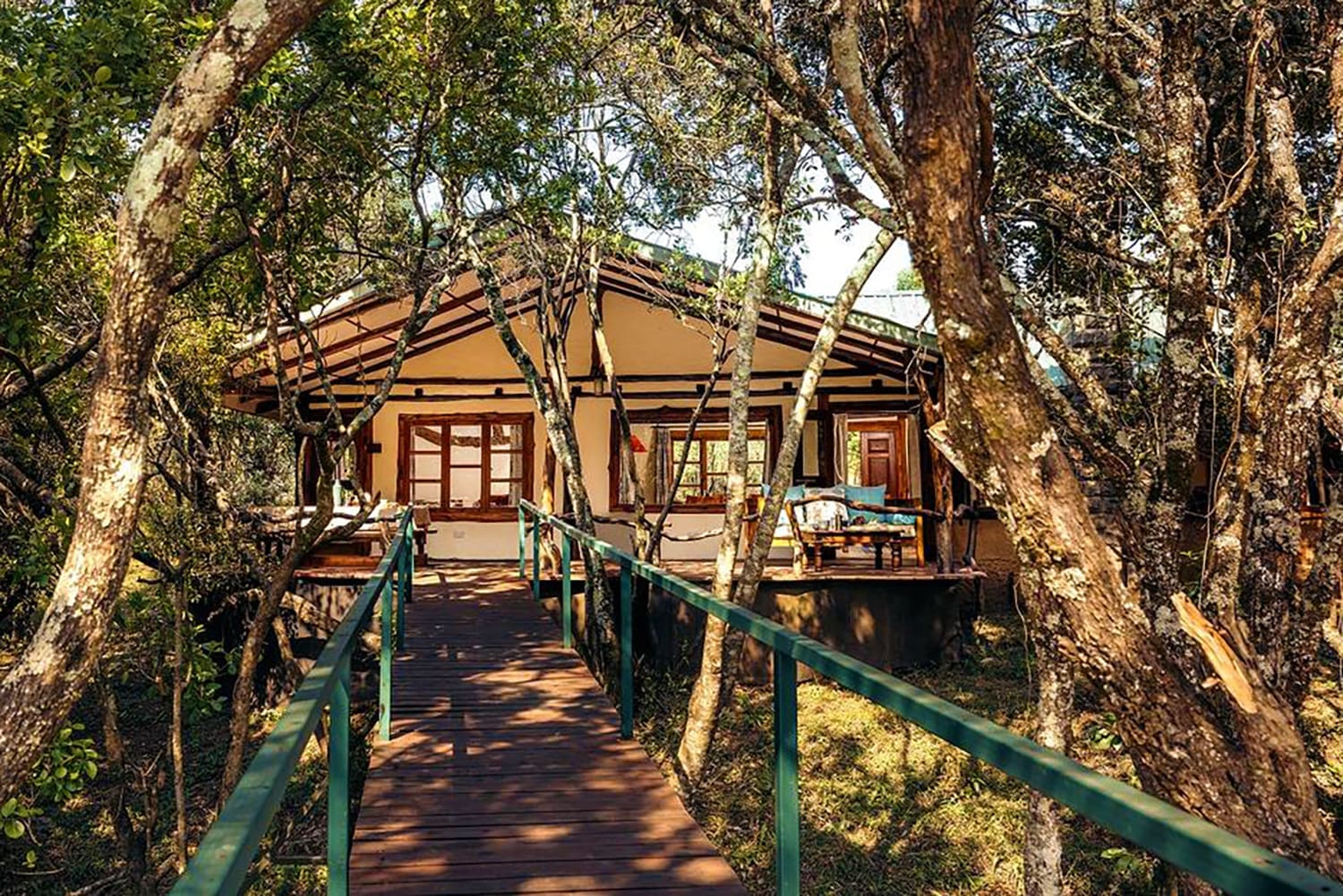 Dik Dik 1 Dik Dik House, Mara North